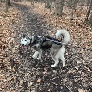 Meet your Posher, Mirella